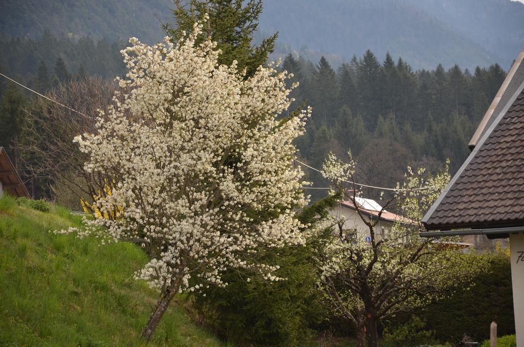 Pension Zum Schreiner Hermagor-Pressegger See Luaran gambar