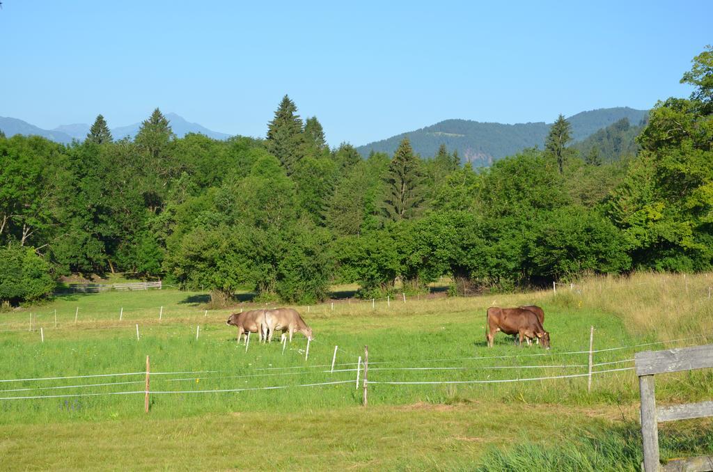 Pension Zum Schreiner Hermagor-Pressegger See Luaran gambar